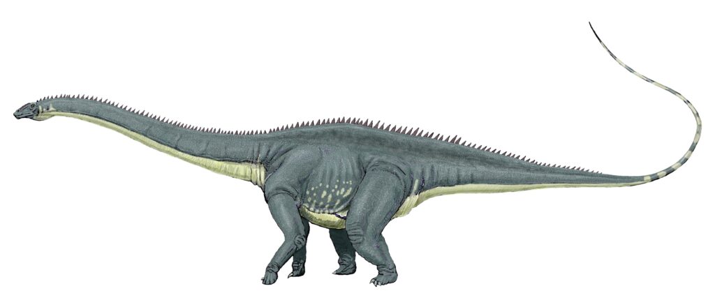 ᐈ 15 найбільших динозаврів у світі - великі та високі динозаври: травоїдні, хижі - самі великі динозавтри: найвищі, найважчі - всі назви