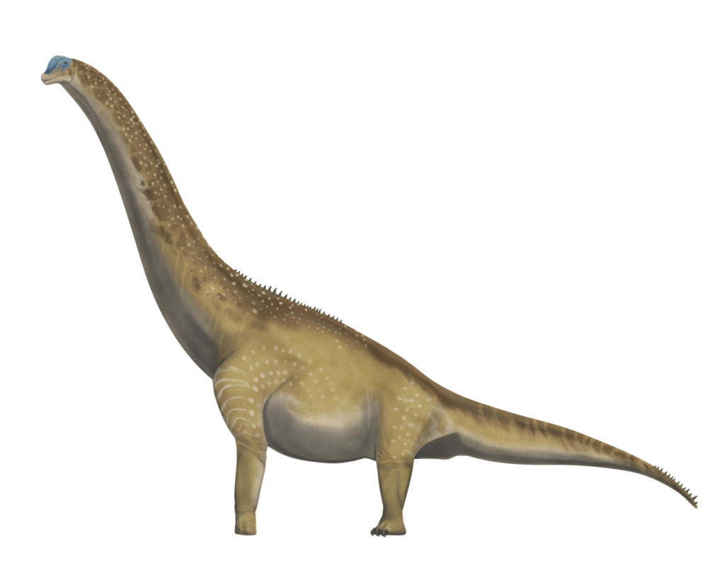 ᐈ 15 найбільших динозаврів у світі - великі та високі динозаври: травоїдні, хижі - самі великі динозавтри: найвищі, найважчі - всі назви