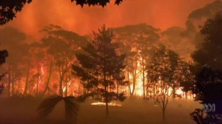 58 фото, які показують, як виглядає Австралія зараз