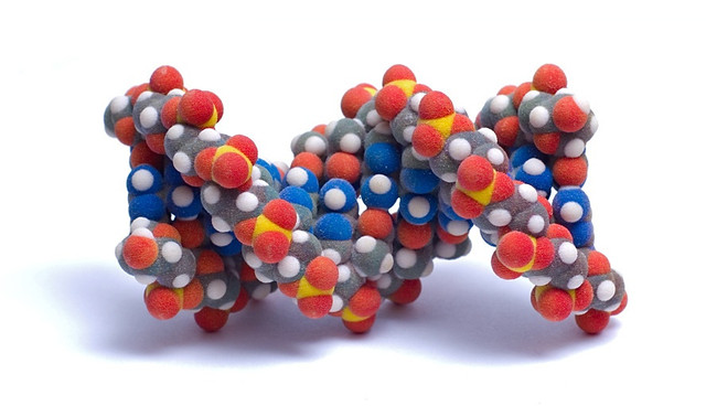 Амінокислоти - Навіщо потрібні амінокислоти нашому організму?