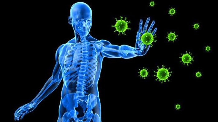 Імунна система - Які симптоми слабкої імунної системи?