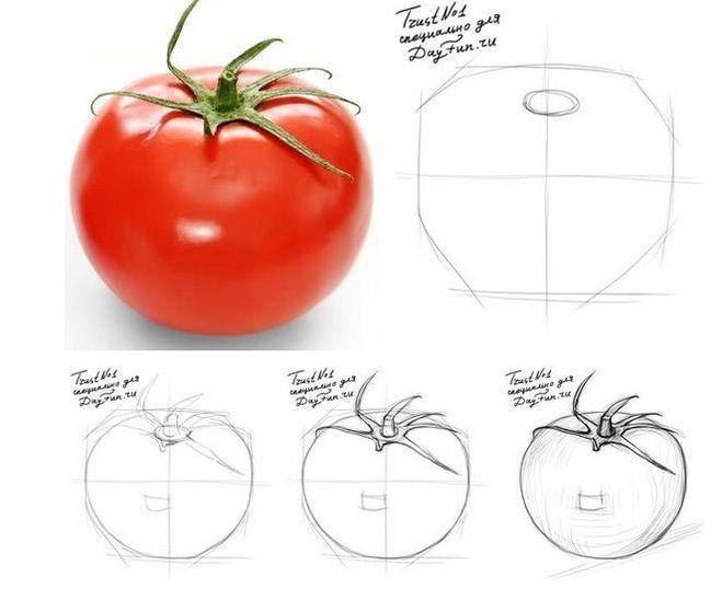 Як намалювати фрукти і овочі - малюємо різні види фруктів і овочів поетапно