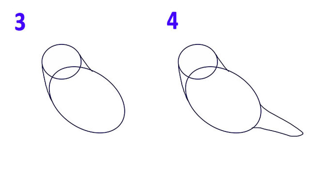 Як намалювати птаха - малюємо птаха поетапно