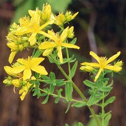 Як побороти безсоння