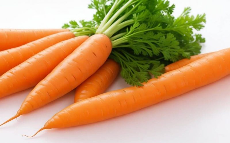 Морковь – сладкий дар огорода