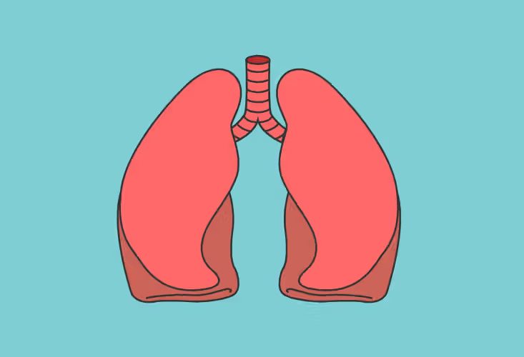 Як допомогти легеням