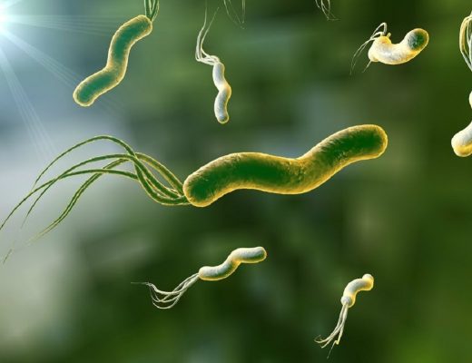 Яку загрозу здоров’ю людині несе бактерія Helicobacter pylori?