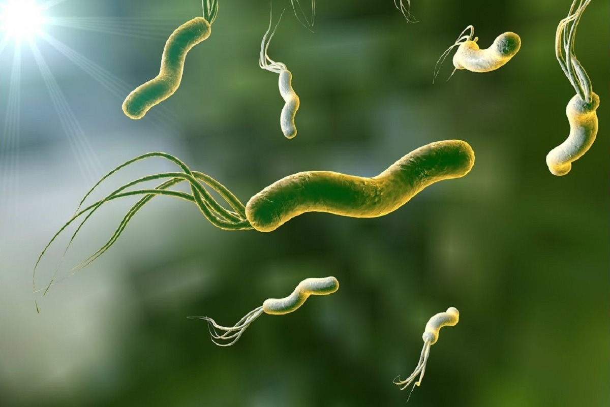 Яку загрозу здоров’ю людині несе бактерія Helicobacter pylori?